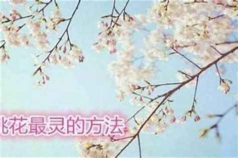 桃花劫怎麼解|八字“桃花劫”怎样化解？